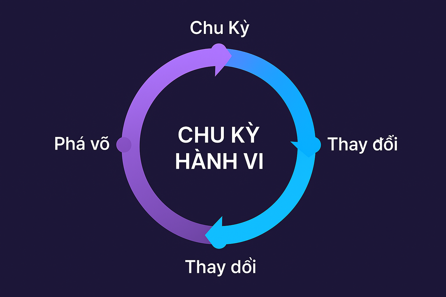 Chu kỳ hành vi